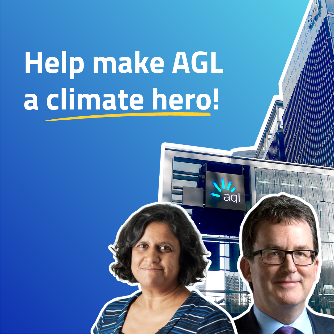 Email the AGL Board of Directors